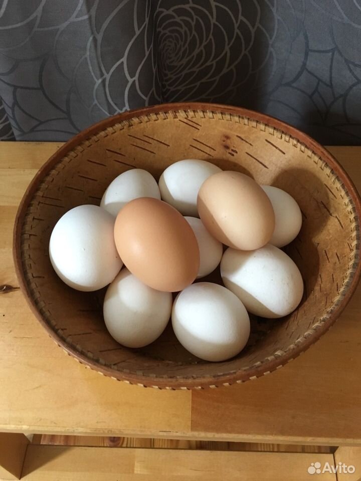 Где Можно Купить Домашнее Яйцо
