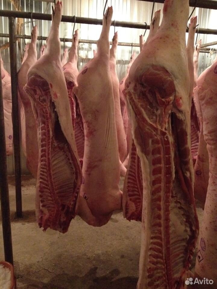 Свинина охлажденная в полутушах. Мясо купить на Зозу.ру - фотография № 2