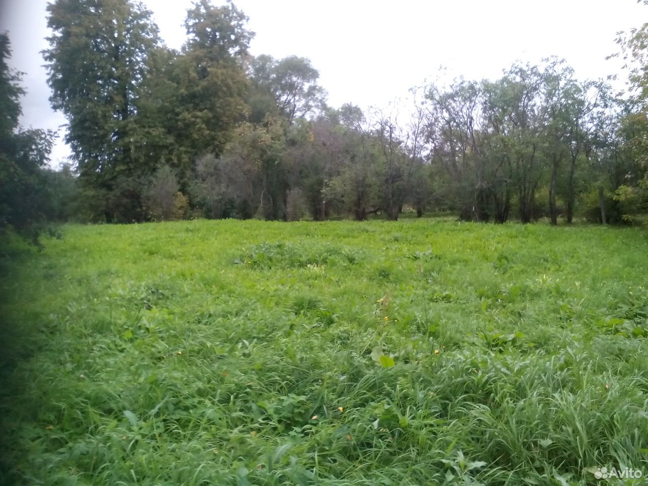 Купить Земельный Участок В Тверской Области