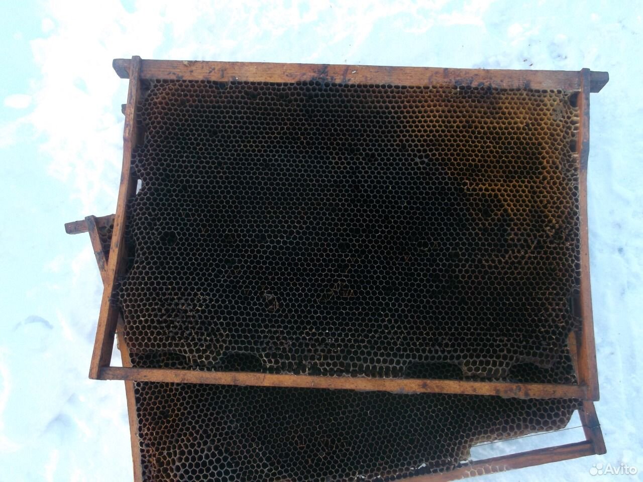 Инвентарь пчёловода купить на Зозу.ру - фотография № 1