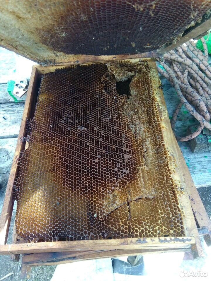 Суш для пчел, ловушек купить на Зозу.ру - фотография № 3