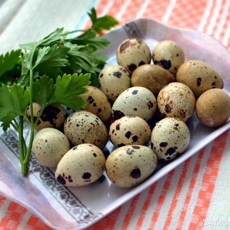 Перепелиные диетические яйца,перепелиные тушки, ин купить на Зозу.ру - фотография № 1