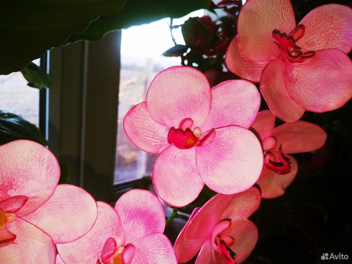 Орхидея, ручная работа купить на Зозу.ру - фотография № 5