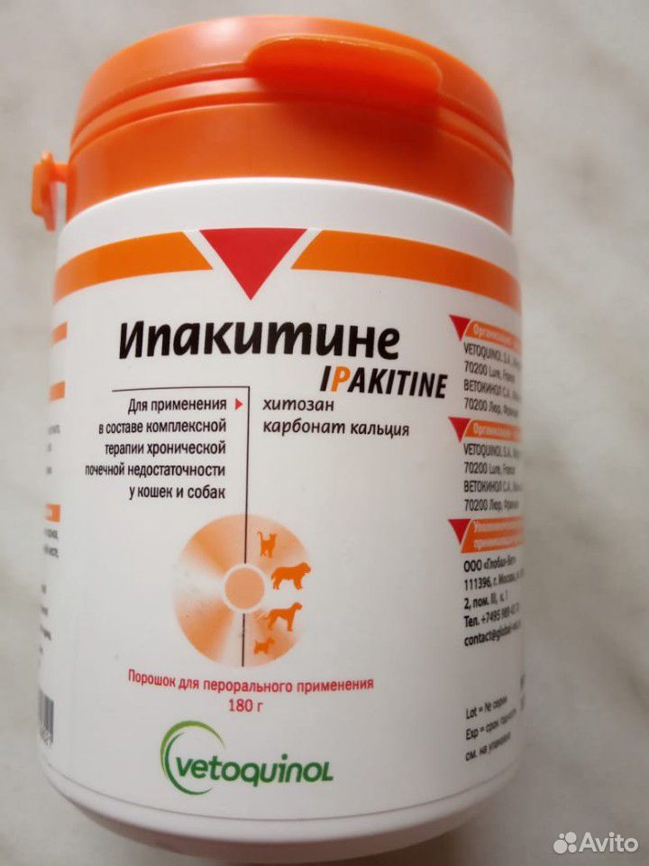 Купить Ипакитине Для Кошек В Интернет Магазине