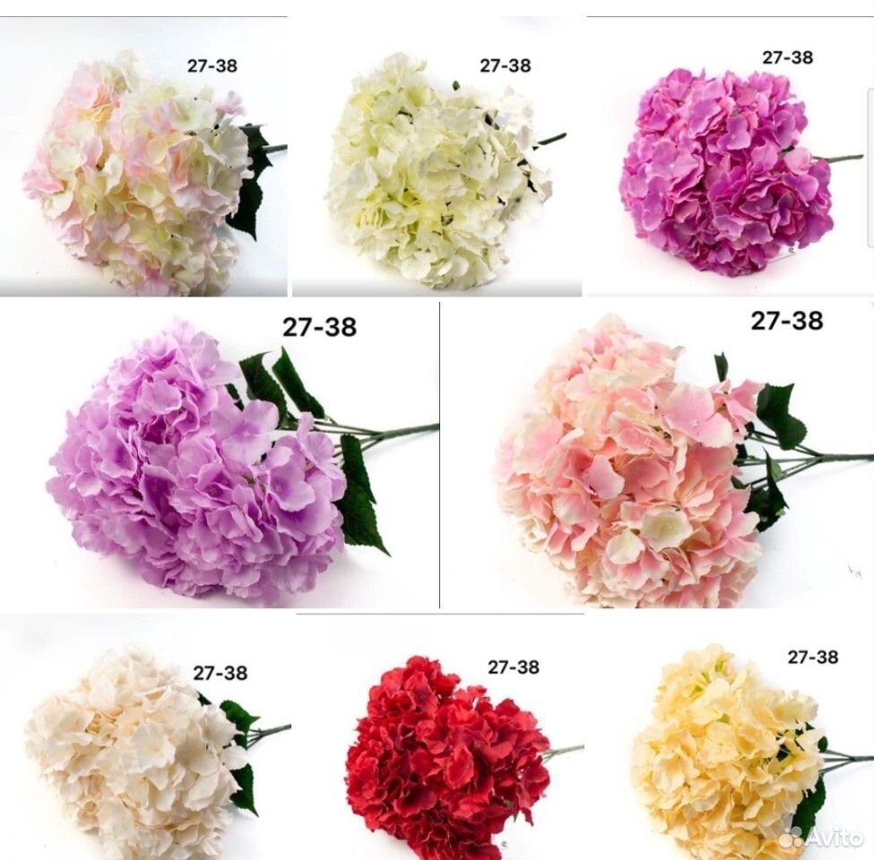 Цветы купить на Зозу.ру - фотография № 10