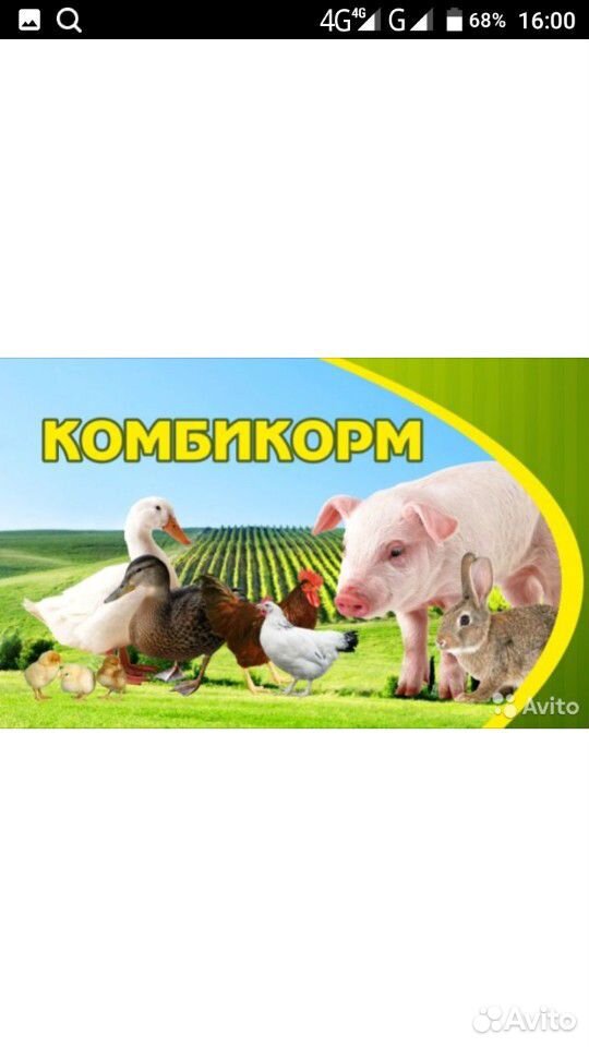 Корма для сельскохозяйственных животных купить на Зозу.ру - фотография № 1