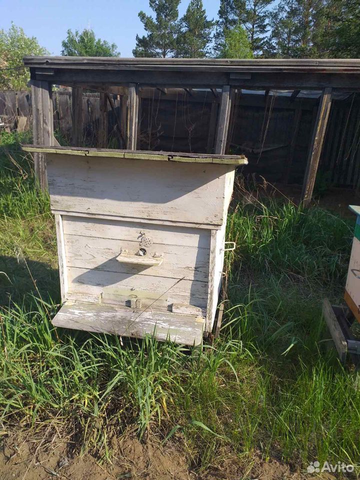Пасека, полный комплект для ведения пчеловодства купить на Зозу.ру - фотография № 2