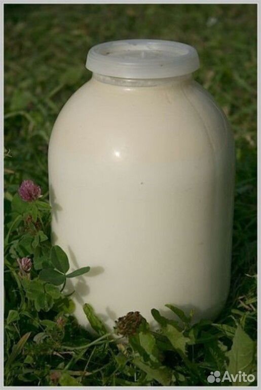 Молоко и молочые продукты из деревни купить на Зозу.ру - фотография № 1
