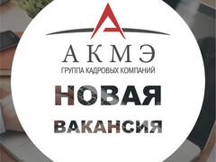 Кассир вых.дня подработка в спб, камилла лэкберг укротитель львов и компания концепция брейк информация Кассир вых.дня подработка в спб