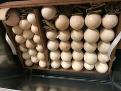 Инкубационное яйцо и цыплята (выведу под заказ )