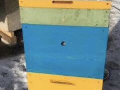 Улья для пчёл
