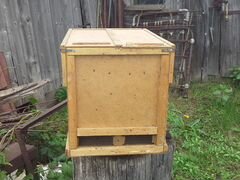 Пчёлопакеты/пчелосемьи