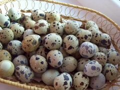 Инкубационное яйцо: фазанов перепелов