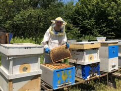 Пчело пакеты