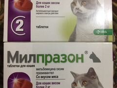 Милпразон для кошек