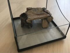 Террариум для черепахи с декором