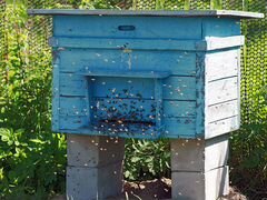 Ульи для пчелосемей