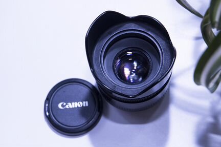 Объективом Canon EF 50mm f/1.8 II - 1