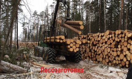 Лесозаготовка и деревообработка