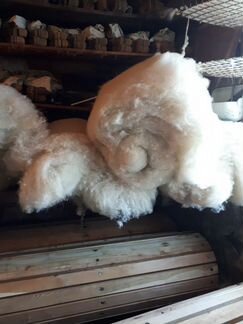 Продам мытую прочесаную шерсть мериноса овечья