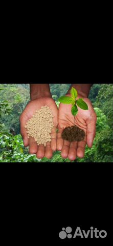 Товарный остаток (С.З.Р.) агро химия