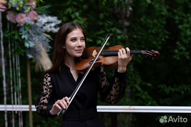 Скрипачка на праздники