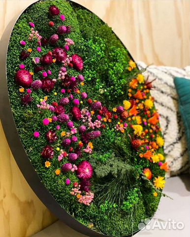 Круг из мха фитокартина картина со мхом панно