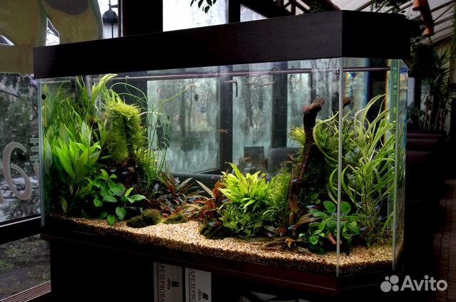 Чистка аквариума, изготовление, перевозка, монтаж