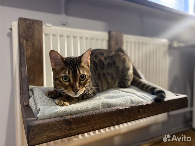 Гамак на батарею