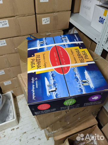 Ледяная рыба