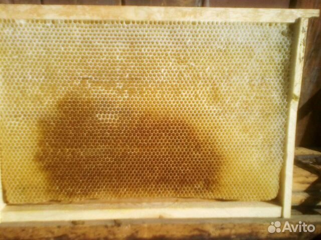 Пчелосемьи и пчелопакеты и рамки сушь