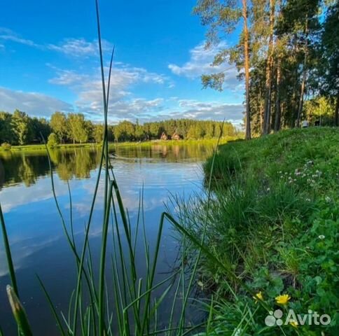 

1-к. квартира, 42 м², 4 кровати
