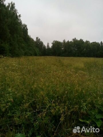 A plot of 80 hectares (SNT, DNP)