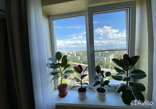 

2-к. квартира, 48 м², 2 кровати