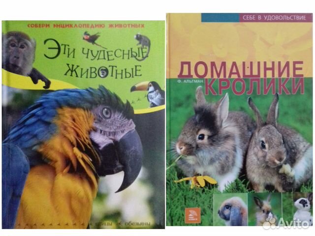 Много детских книг для (до) школьников Много детских книг для (до) школьников