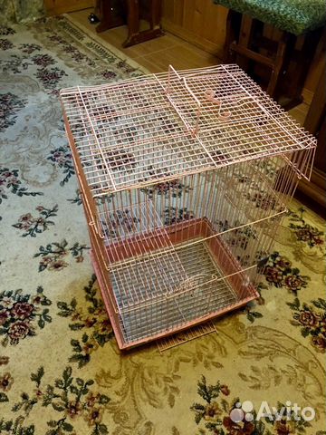Клетка для попугаев, крыс, хомяков купить на Зозу.ру - фотография № 4