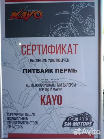 Питбайк kayo YX125 basic pitbike 2019 (оф.дилер)