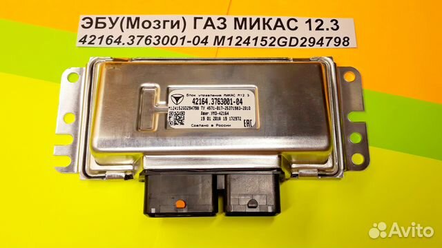 Эбу Мозги на Газ Микас 12.3 42164.3763001-04