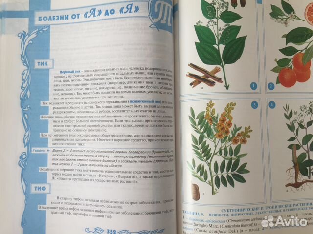Большая энциклопедия народной медицины Большая энциклопедия народной медицины