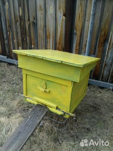 Продам пчелосемьи с улем 2 корпуса с вощиной купить на Зозу.ру - фотография № 3
