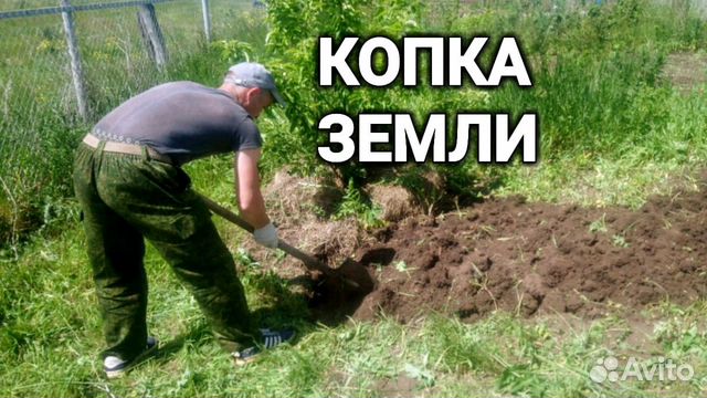 Рабочие Разнорабочие Грузчики Курьеры Тимуровцы