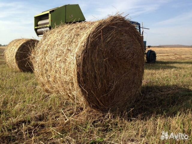 Фото сено в рулонах в