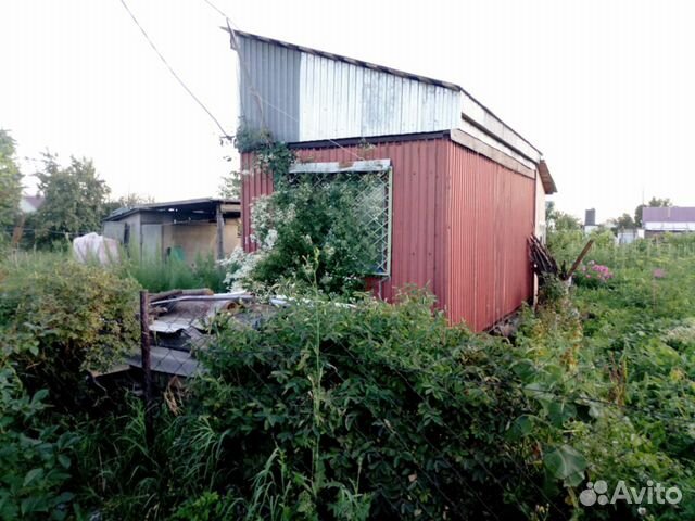 Сот Колос Купить Дачу