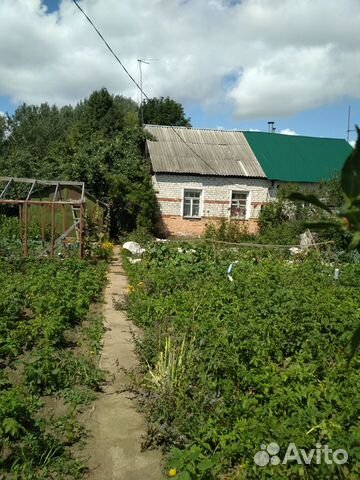 Пос учхоза стенькино рязанская. Поселок учхоза стенькино рязанская область. Электричка кораблино рязань. Расписание учхоза стенькино рязань. Расписание учхоза стенькино рязань.