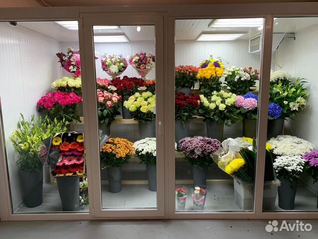 Kamere za cvijeće: prodaja, dostava i montaža u St.