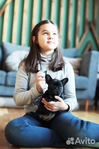 Дети от чемпиона мира этилные щенки стандарт РКФ купить на Зозу.ру - фотография № 2
