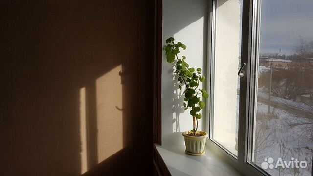 1-к квартира, 31 м², 3/5 эт. 1-к квартира, 31 м², 3/5 эт.