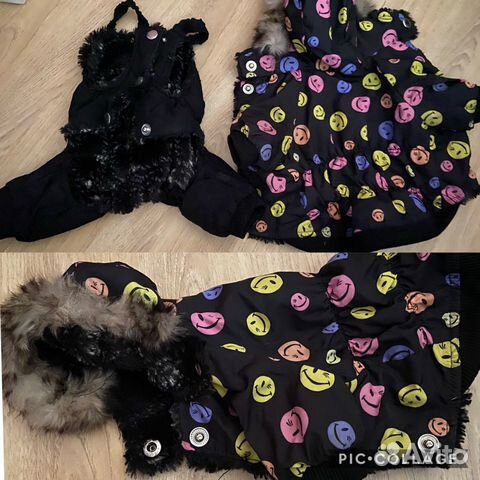 Одежда для собак