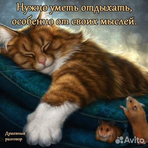 Рыжий кот купить на Зозу.ру - фотография № 1