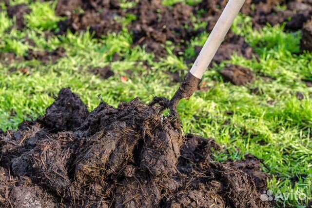 Навоз, перегной, торф, чернозем